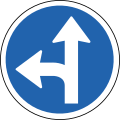 Turn left or straight