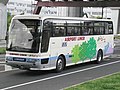 成田線（エアロクィーンI：2012年廃車）