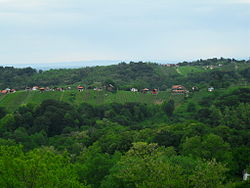 Kapelščak, panorama