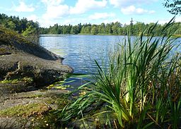 Kocktorpssjön, vy mot väster