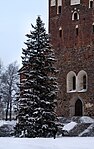 Christmas tree front of the Turku Cathedral in Turku, Finland.