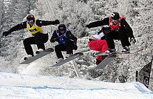 LG Snowboard FIS World Cup (5435934274).jpg