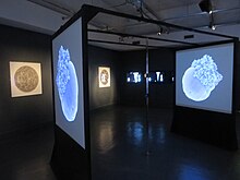 Morphogenetic Creations computer-generated digital art exhibition by Andy Lomas at Watermans Arts Centre, west London, in 2016 Morphogenic digital art exhibition by Andy Lomas at Watermans Arts Centre, London.jpg