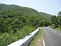 NH-209, on the Dimbam Ghat, near Sathyamangalam, in Tamil Nadu