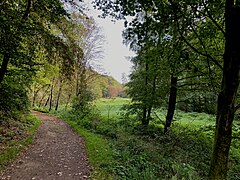 Wanderweg A4 entlang einer Feuchtbrache