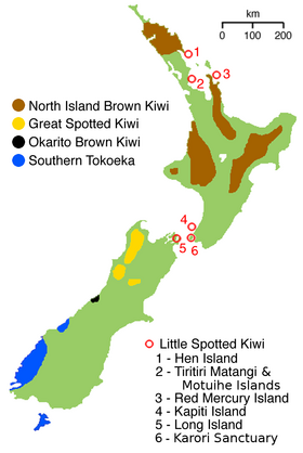 The distribution of each species of kiwi