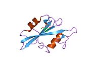 1o41​: Kristalna struktura -{SH2}- u kompleksu sa -{RU78300}-.