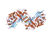 2b4s​: Kristalna struktura kompleksa PTP1B i insulinske receptorske tirozinske kinaze