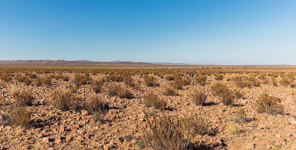 图为智利阿他加马沙漠。世上较旱地区，一片荒凉为其普遍之景。