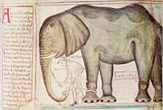 Elefante nas Chronica Majora II, 1235–1259. Parker Library, Corpus Christi College, MS 16, fol. ivr.