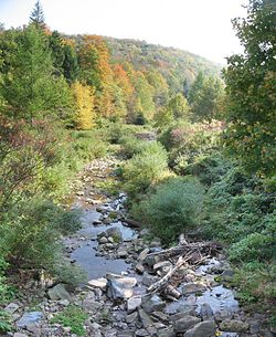 Pleasant Stream, near the ghost town of Masten, forms the border between McNett (left) and Cascade (right) townships.