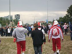 Pod stadionem nie brakowało także polskich kibiców