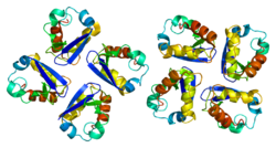 Protein KCNA3 PDB 1dsx.png