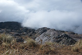 Dense fog covering the shallow valley