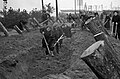 Les Moscovites, en particulier les femmes creusent des fossés antichars à l'extérieur de Moscou en octobre 1941.