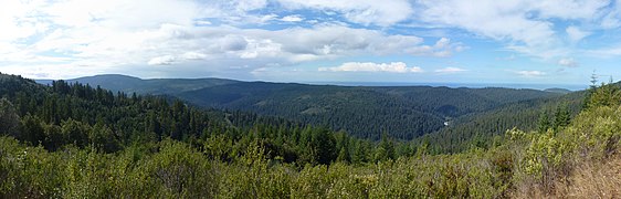 Redwood Creek Overlook in Redwood National Park