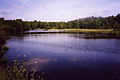 Moorweiher am Roten Moor