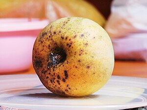 English: Rotten Mango Apple in Malaysia