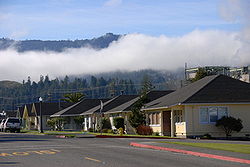 Scotia, California 146.JPG