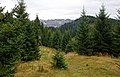 Auf dem Sonthofner Hörnle, Blick zum Nebelhorn