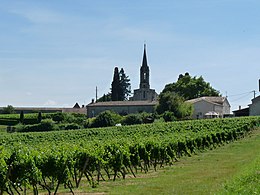 Saint-Quentin-de-Caplong – Veduta