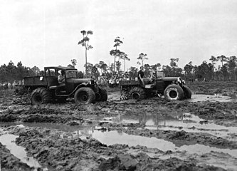 День заїзду на болотяних баггі - Нейплс, Флорида, 1953 рік