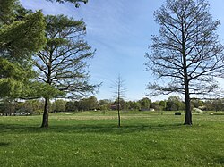 Парк Тиллес в районе Норт-Хэмптон в Сент-Луисе, май 2018 г.