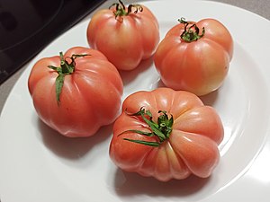 Tomate rose