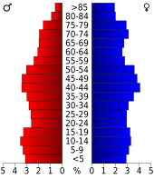 Bevolkingspiramide Danville