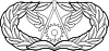 United States Air Force Civil Engineer Badge.svg