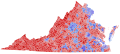 2020 United States Senate election in Virginia