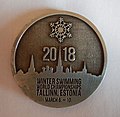 WSWC 2018-07 účastnícka medaila