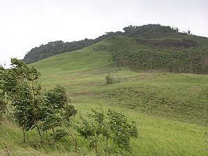 Grasland und Eucalyptus alba-Wälder, nordwestlich vom Mano Côco