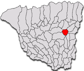 Location in Gorj County