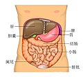 2019年5月28日 (二) 09:26版本的缩略图