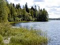 Bānūži järv