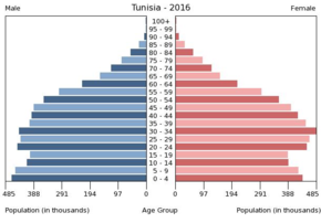 Population pyramid Bevolkerungspyramide Tunesien 2016.png