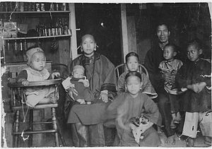 Chinese family in Honolulu, Hawaii in 1893.