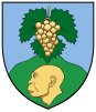 Coat of arms of Vértesszőlős