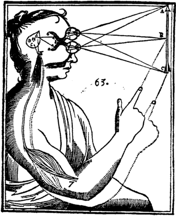 Diagram from one of René Descartes' works.