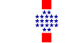中央県の旗