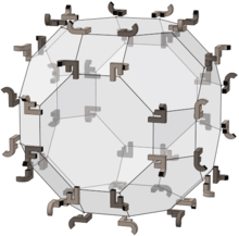 Полные октаэдрические групповые элементы в усеченном кубооктаэдре; JF.png