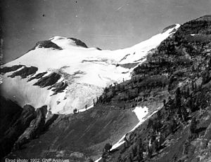 Der Grant-Gletscher 1902. Seitdem hat er stark an Länge verloren.