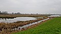 Hemelrijkse Waard - natuur in de uiterwaarden en een dode arm van de Maas