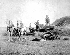 Baling straw, ca. 1900 Horses baling straw, Burnsville..jpg