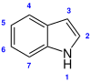 Strukturformel med numrerade positioner
