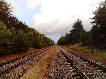 Железная дорога в лесу Ярве, 2017 год