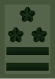 Знак различия полковника JGSDF (миниатюра) .svg