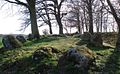 Das östliche Langbett auf dem Ruserberg