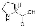 L-脯氨酸 (Pro / P)